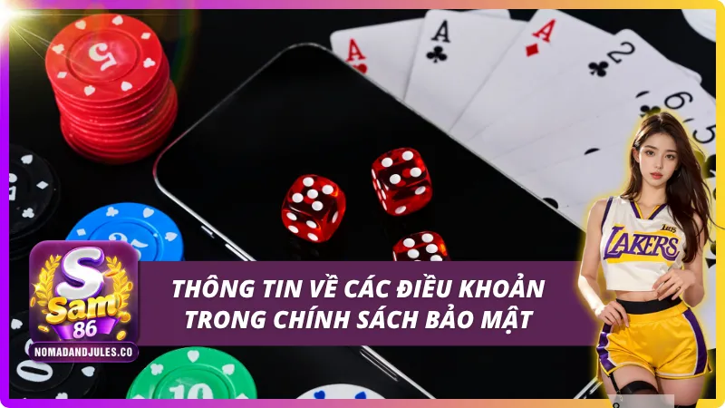Chính Sách Bảo Mật SAM86 - Phân Tích Chi Tiết Sự An Toàn 2 Các điều khoản quan trọng trong chính sách bảo mật SAM86